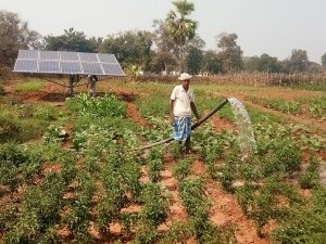 सरकारी स्कीम का मिला लाभ और बदल गई तकदीर : सौर सुजला योजना के जरिए अब खेत हुए द्विफसलीय