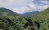 उत्तराखंड के इस हिल स्टेशन को अंग्रेजों ने बसाया था, टूरिस्टों की पहली पसंद है ये जगह