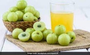 सुबह उठकर खाली पेट पी लीजिए इस हरी चीज का जूस, मक्खन की तरह पिघलेगी पेट की चर्बी, 32 से 28 हो जाएगी कमर