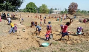 धमतरी : ग्रामीण क्षेत्रों में मनरेगा कार्यों से आयी प्रगति