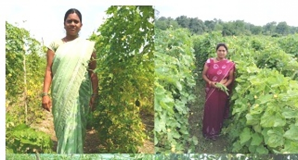 एनआरएलएम: कर्ज के बोझ से मुक्त होकर आत्मनिर्भर बनी सुष्मिता जाटवर, कमाई प्रतिमाह 50 हजार