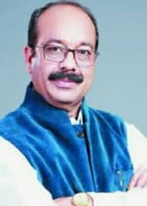 पीएम मोदी जी के विकसित भारत विजन-2047 में छत्तीसगढ़ की होगी अहम भूमिका, विजन डॉक्यूमेंट तैयार कर करेंगे काम: उपमुख्यमंत्री  साव