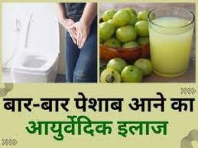 बार-बार पेशाब की समस्या से पा सकते हैं छुटकारा, इस आयुर्वेदिक उपाय को अपनाएं