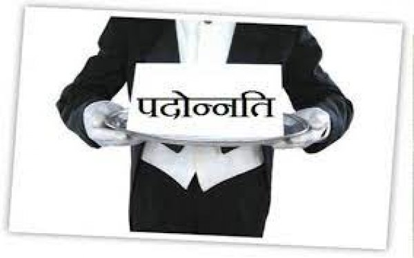 भिलाई निगम के 4 कर्मचारियों को मिली पदोन्नति