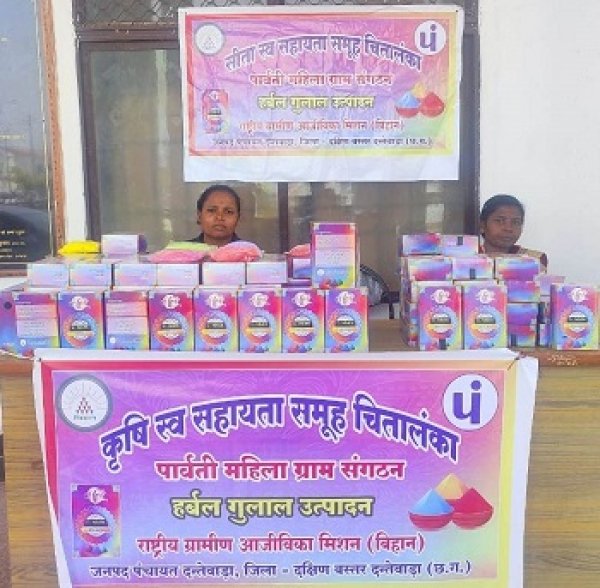 हर्बल रंग से सराबोर होगी दंतेवाड़ा की होली