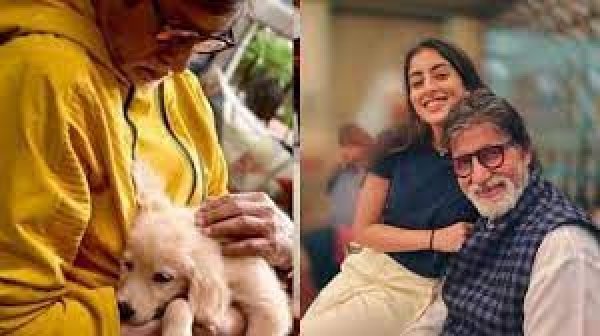 अमिताभ बच्चन के क्यूट को-स्टार को देखकर फिदा हुईं नव्या नवेली बोलीं-इसे घर लाना, फोटो वायरल