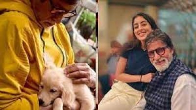 अमिताभ बच्चन के क्यूट को-स्टार को देखकर फिदा हुईं नव्या नवेली बोलीं-इसे घर लाना, फोटो वायरल