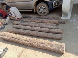 वन विभाग द्वारा 2.25 लाख रूपए की कीमत के सागौन चिरान तथा लट्ठा जब्त