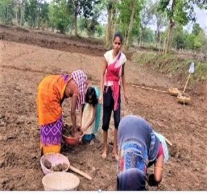 कु. पूनम दास कभी खुद करती थी मजदूरी अब महिला मेट बन लोगों को दिला रही रोजगार