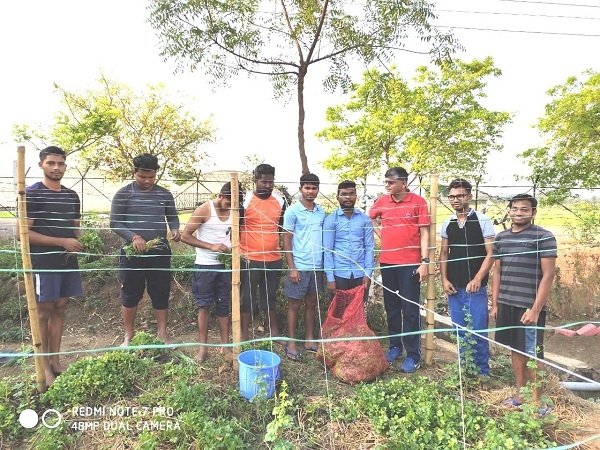 कोरोना से बचाव और सोशल डिसटेंसिंग बनाए रखने फलों व सब्जियों की होम डिलवरी  एग्रीकल्चर यूनिवर्सिटी के स्टूडेंट ने कोरोना संकट काल में तैयार किया ई-किचन मोबाइल एप