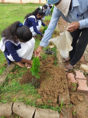 माध्यमिक विद्यालय फरसियाँ में पौधारोपण