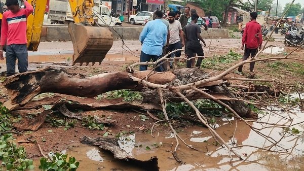 अंधड़ प्रभावित सरायपाली में विद्युत आपूर्ति बहाली  के दौरान ई.ई के ऊपर गिरी पेड़ की शाखा