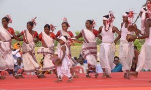 रायपुर : राष्ट्रीय आदिवासी नृत्य महोत्सव : गोंडों के परम्परागत लोक नृत्य