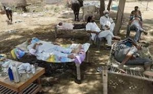 नोएडा में बदहाल स्वास्थ्य सुविधाएं, केंद्रों में डॉक्टर की जगह मिले गोबर के उपले