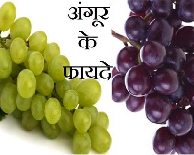 अच्छी सेहत के लिए वरदान है अंगूर, गर्मी में सेवन करें जरूर