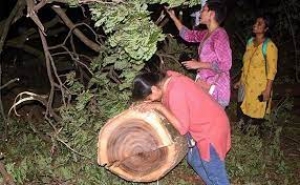 उद्धव ठाकरे का ऐलान भी बेअसर, अब तक नहीं वापस हुए आरे जंगल बचाने वालों के केस