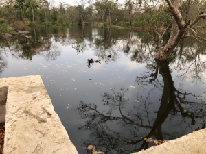 मरवाही वन मंडल के जैतरणी नाला में 5 करोड़ रूपए की लागत से भू-जल संवर्धन संबंधी विविध संरचनाओं का निर्माण