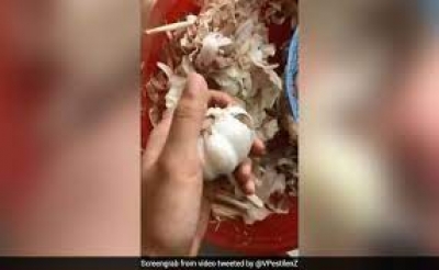 क्या आप भी बेकार समझकर फेंक देते हैं लहसुन के छिलके, तो बनाएं उनसे ये टेस्टी सीजनिंग, बढ़ा देगी खाने का स्वाद