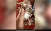 क्या आप भी बेकार समझकर फेंक देते हैं लहसुन के छिलके, तो बनाएं उनसे ये टेस्टी सीजनिंग, बढ़ा देगी खाने का स्वाद