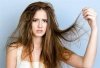 रूखे-सूखे बालों में भर देंगे जान ये 4 तरह के तेल, Damaged Hair से भी मिल जाएगा छुटकारा 
