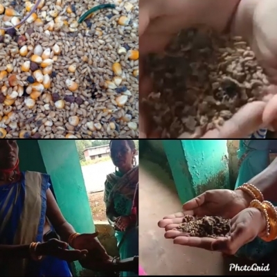 उपसना महिला स्वसहयता समुह बोरई के रेडी टु ईट पोषण आहार में चूड़ियों के टुकड़े व कीडे मिलने के आरोप  शिशु स्वास्थ्य के साथ गंभीर लापरवाही का मामला