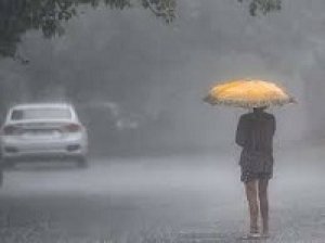 छत्तीसगढ़ में अब तक 1262.8 मि.मी. औसत वर्षा दर्ज