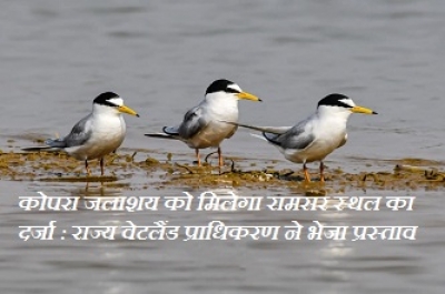 कोपरा जलाशय को मिलेगा रामसर स्थल का दर्जा : राज्य वेटलैंड प्राधिकरण ने भेजा प्रस्ताव