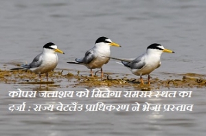 कोपरा जलाशय को मिलेगा रामसर स्थल का दर्जा : राज्य वेटलैंड प्राधिकरण ने भेजा प्रस्ताव