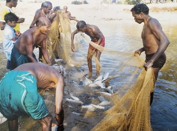मछली पालन से चैतन को मिला रोजगार, आया जीवन स्तर में बदलाव