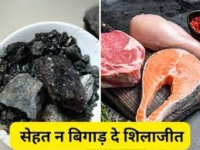 जोश-जोश में Shilajit के साथ न खा लेना ये 5 चीजें, Ayurveda डॉ. ने माना- लेने के देने पड़ जाएंगे