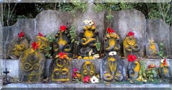 मुख्यमंत्री विष्णु देव साय ने नागपंचमी पर प्रदेशवासियों को दी शुभकामनाएं
