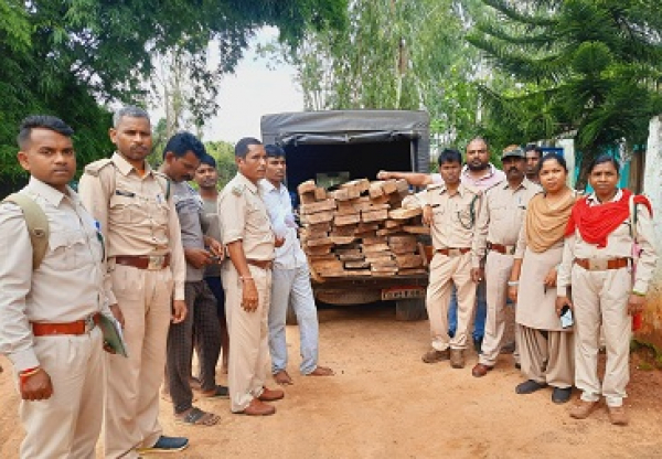 माकड़ी परिक्षेत्र को मिली बड़ी कामयाबी, साल और बीजा के 76 नग चिरान के साथ एक आरोपी गिरफ्तार