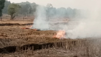 खेतों में पराली जला रहे किसान, वातावरण पर पड़ता विपरीत असर