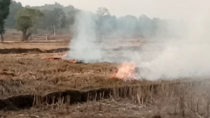 खेतों में पराली जला रहे किसान, वातावरण पर पड़ता विपरीत असर