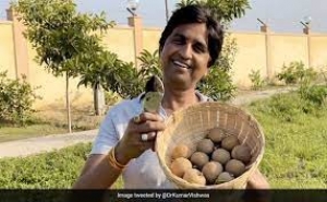 मीठे फल से कड़वी बात कह गए कुमार विश्वास, लिखा- 'खबरें पढ़कर तो कोई भी पक जाता है, ये तो चीकू है....'