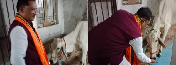 चंद्रग्रहण पूर्व मुख्यमंत्री साय ने गौमाता को अर्पित की रोटी-गुड़, प्रदेशवासियों के कल्याण की की प्रार्थना