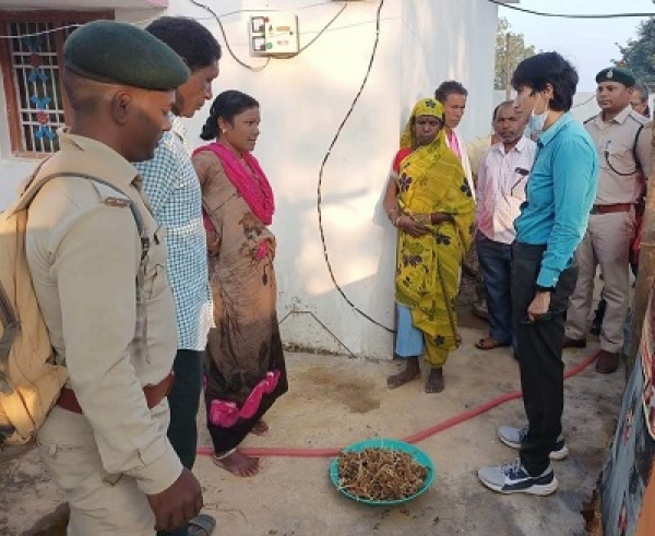 छत्तीसगढ़ में मिलेट मिशन : रागी से वनांचल की महिलाओं को मिला आमदनी का नया जरिया