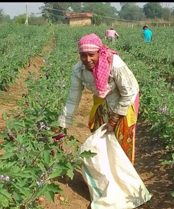 डीएमएफ की मदद से आधुनिक तकनीक अपनाकर समूह बढ़ा रहे आर्थिक अवसर