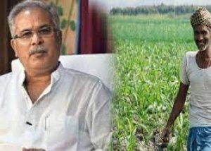 ​​​​​​​किसान धान खरीदी को लेकर चिन्ता न करें, सभी पंजीकृत किसानों का खरीदा जाएगा धान: मुख्यमंत्री