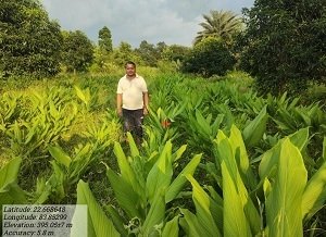 राष्ट्रीय बागवानी मिशन योजना का कृषक ले रहे हैं लाभ