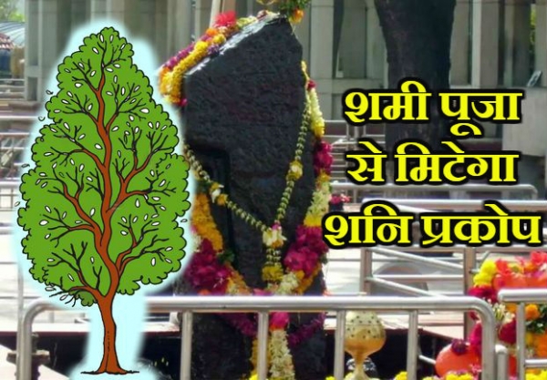 क्यों करते हैं शमी वृक्ष की पूजा, जानें इसका धार्मिक महत्व और पूजा विधि