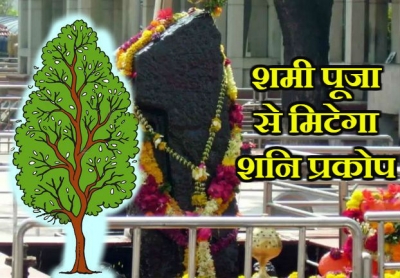 क्यों करते हैं शमी वृक्ष की पूजा, जानें इसका धार्मिक महत्व और पूजा विधि