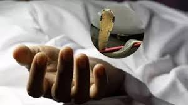 फर्श पर सो रही 6 साल की मासूम को जहरीले सांप ने काटा, इलाज के दौरान मौत