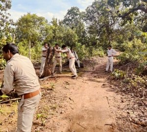 *वन परिक्षेत्र भानपुरी के अतिक्रमण को अभियान चलाकर किया जा रहा वन भूमि को मुक्त*