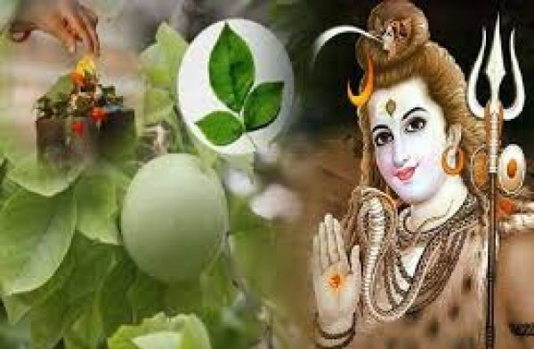 महाशिवरात्रि के दिन भोले बाबा पर इस तरह करें बेलपत्र अर्पित, पूरी होगी मनोकामना और मिलेगा लाभ
