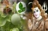 महाशिवरात्रि के दिन भोले बाबा पर इस तरह करें बेलपत्र अर्पित, पूरी होगी मनोकामना और मिलेगा लाभ