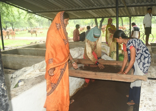 गोधन न्याय योजना के तहत बने वर्मी कम्पोस्ट से अब लहलहायेगी फसल