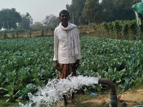 सफलता की कहानी : मिट्टी के कायाकल्प से आर्थिक सशक्तिकरण की ओर बढ़े कदम