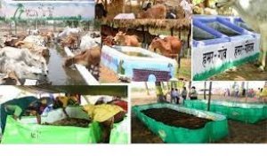 वनांचल क्षेत्र के गौठान अब ग्रामीण औद्योगिक पार्क के रूप में हो रहा विकसित