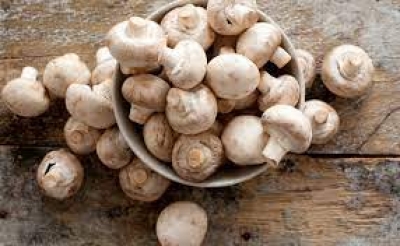मशरूम के 1, 2 नहीं 10 फायदे जानते ही आज से ही शुरू कर देंगे खाना